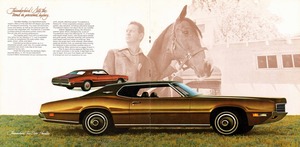 1971 Ford Thunderbird-06-07.jpg